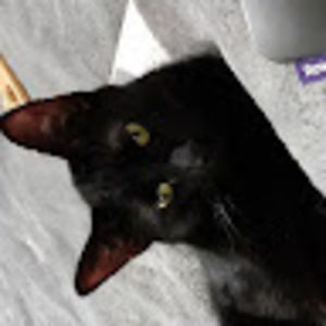 Meet your Posher, Carla